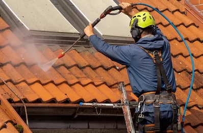 Démoussage et hydrofuge de toiture à Reugny